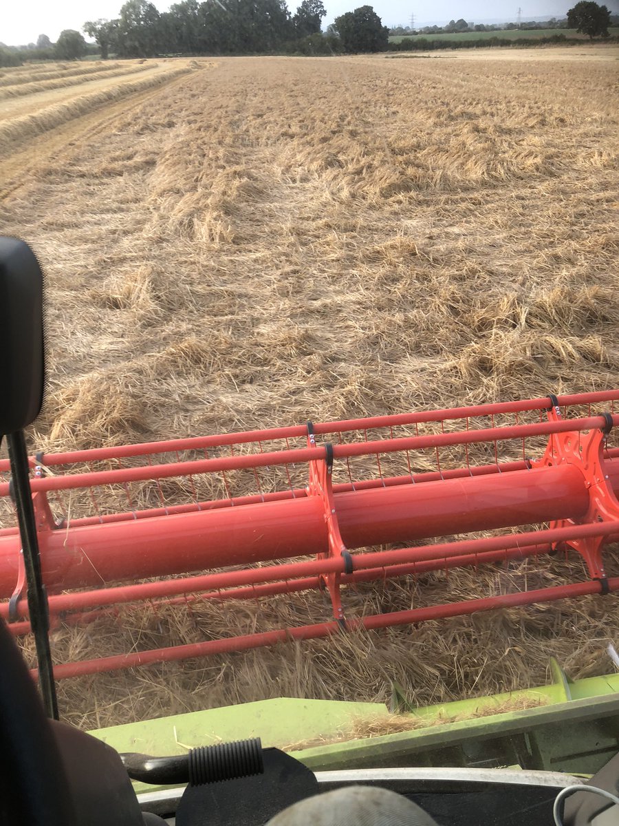 David Blacker (@blacker_david) on Twitter photo Nowt i’d rather be doing on Saturday night. Just love peeling flat spring barley off the floor. 🙄 #sacktheagronomist #throughhimtothelions at least the sun was shining Nowt i’d rather be doing on Saturday night. Just love peeling flat spring barley off the floor. 🙄 #sacktheagronomist #throughhimtothelions at least the sun was shining