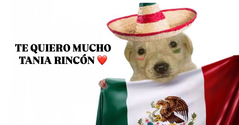 gama🫐 tweet media