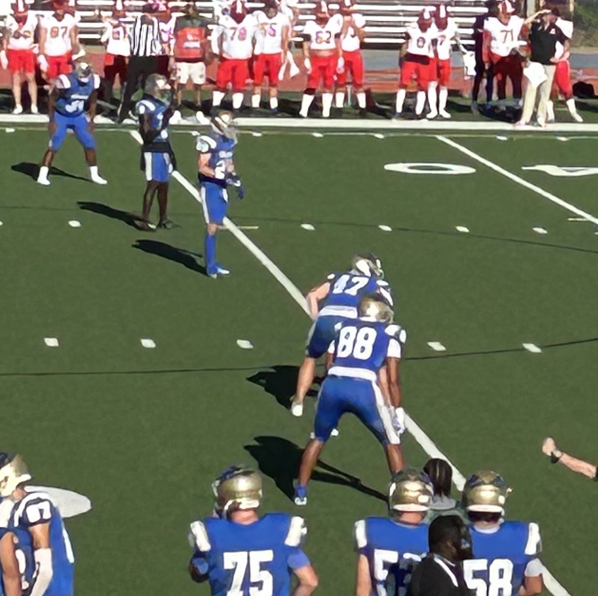 Shanda Seibel tweet media