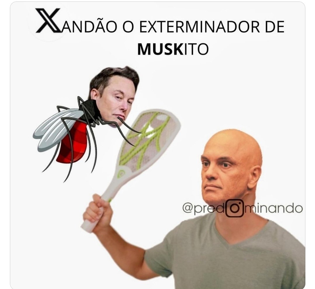 LucilCorsini's tweet photo. https://t.co/k79ZHygd1b