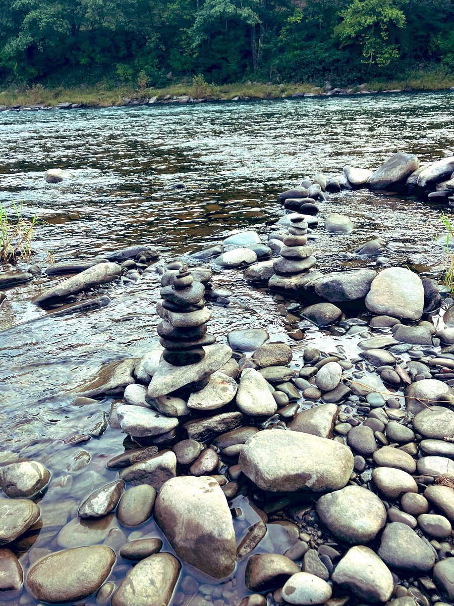 michael sarff tweet media