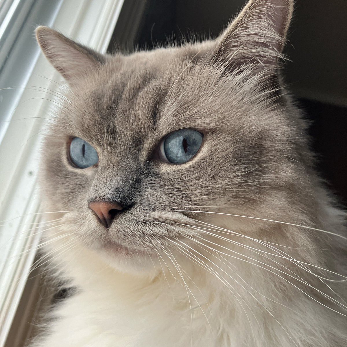 umita🛁しずかちゃん💎 tweet media