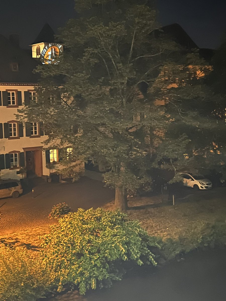 Neulich an der Mosel….