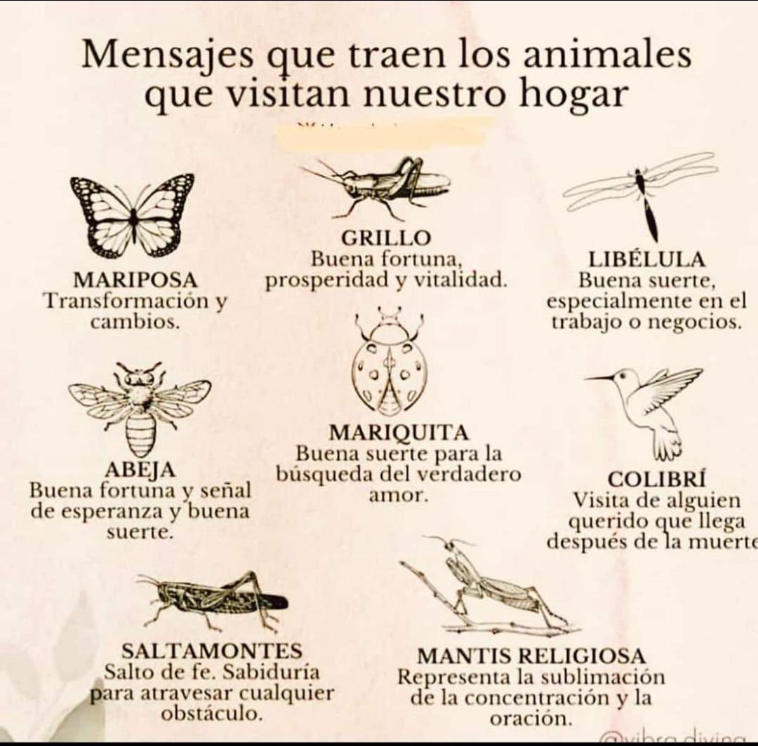 Omar Mohamed (@omimohamed) on Twitter photo 