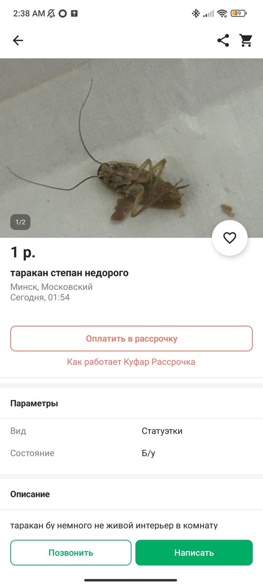 сентябрьская дева tweet media