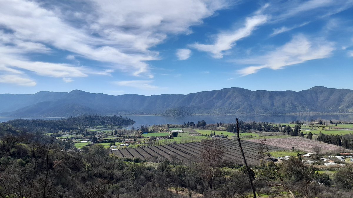 JorgeTobarRodr2's tweet photo. Una mañana dedicada a la búsqueda y rescate de Cristiano, que afortunadamente fue todo un éxito. Para finalizar la tarde en la Reserva, nos fuimos a sacar algunas fotos en el mirador de Las Cumbres.

@altosdecantillana
#busquedayrescate
#critiano
#reservanaturalaltosdecantillana https://t.co/X9gAZTsA3c