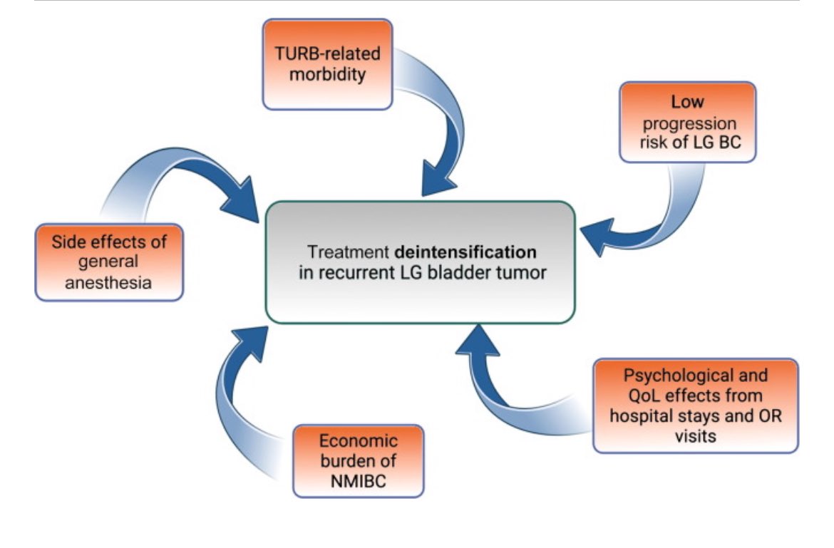Deintensification of Treatment for Low-grade Bladder Tumors: A Collaborative Review by the International Bladder Cancer Group (IBCG)

sciencedirect.com/science/articl… 

<a href="/EurUrolOncol/">European Urology Oncology</a> <a href="/IBCG_BladderCA/">IBCG</a>