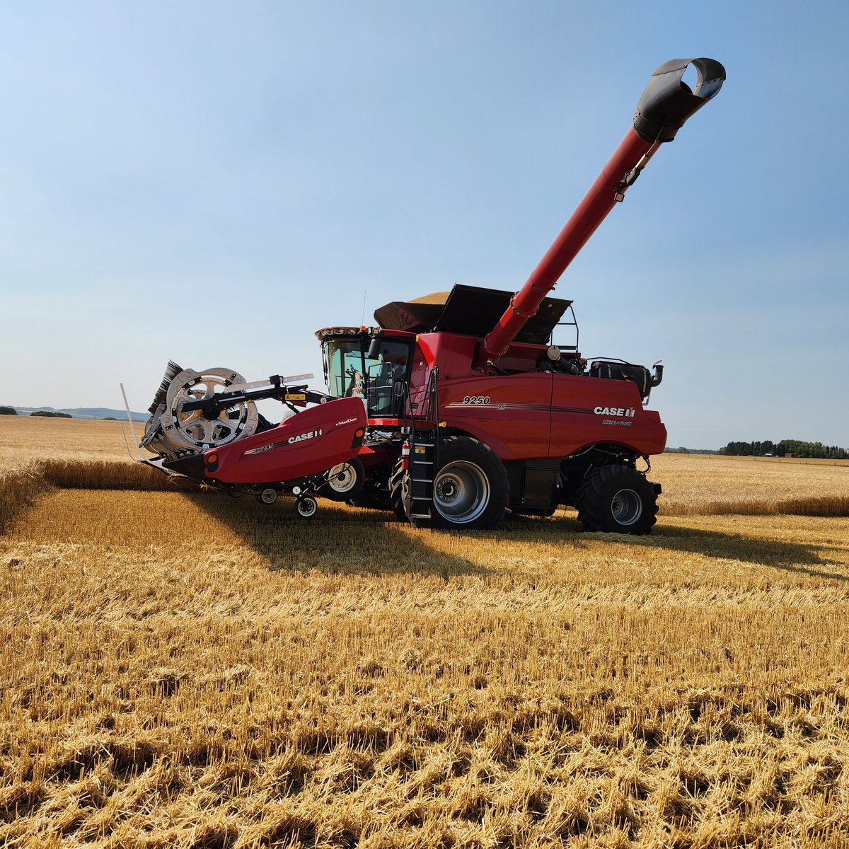 These are the days !!
#Harvest24 #SirishBarley
m.youtube.com/watch?v=ZsBAFj…