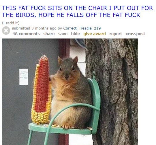 animals going goblin mode (@mischiefanimals) on Twitter photo 