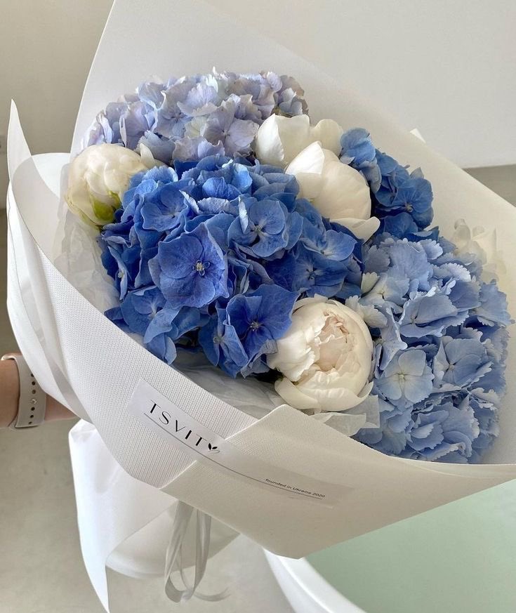 Lszkim's tweet photo. ㅤ

Untuk kedua mempelai, saya ucapkan happy wedding! semoga selalu diberi kebahagiaan dan keharmonisan menjalani hidup baru serta terhindar dari orang ketiga! Selamat telah menjadi pasangan suami istri. 🩵   

#KAMOSAH

ㅤ https://t.co/w6NwCr0HeL