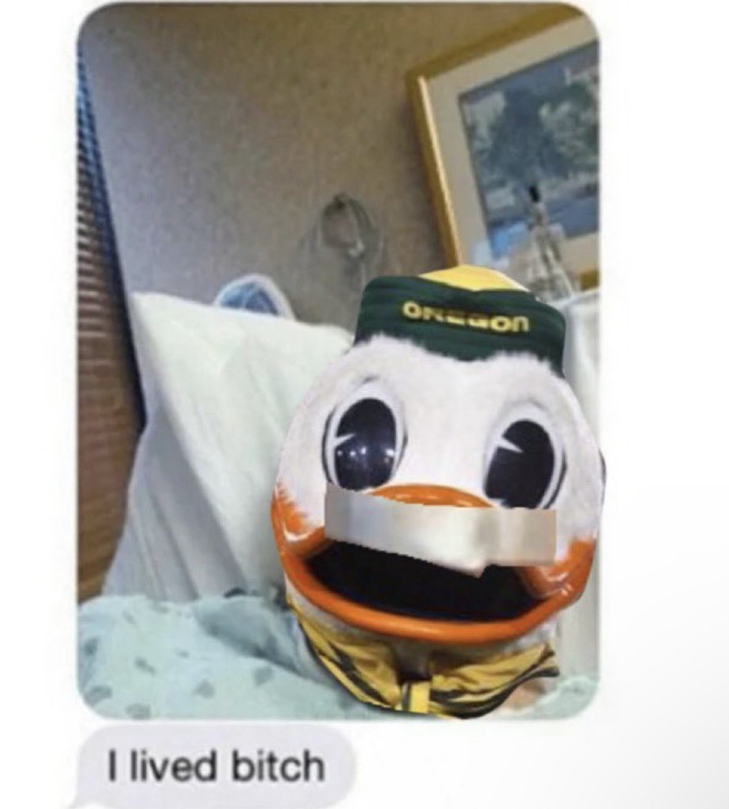 Nick Jones 🦆 tweet media