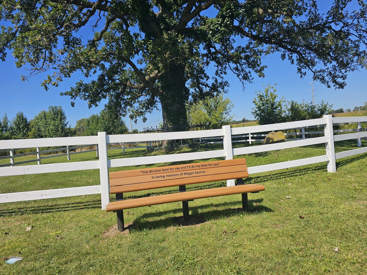 JesseRocha73's tweet photo. I started the Aurora City XC meet again. @westauroraxc hosted at Herget, Megan ran here. The girls' varsity race is named in her honor. The course runs by her bench and tree. #megastrong #onyourmarks #childhoodcancer #sd129 #CANCERSUCKS #calsangels #ladyblackhawks #wa129 https://t.co/dw9OR1SUaB