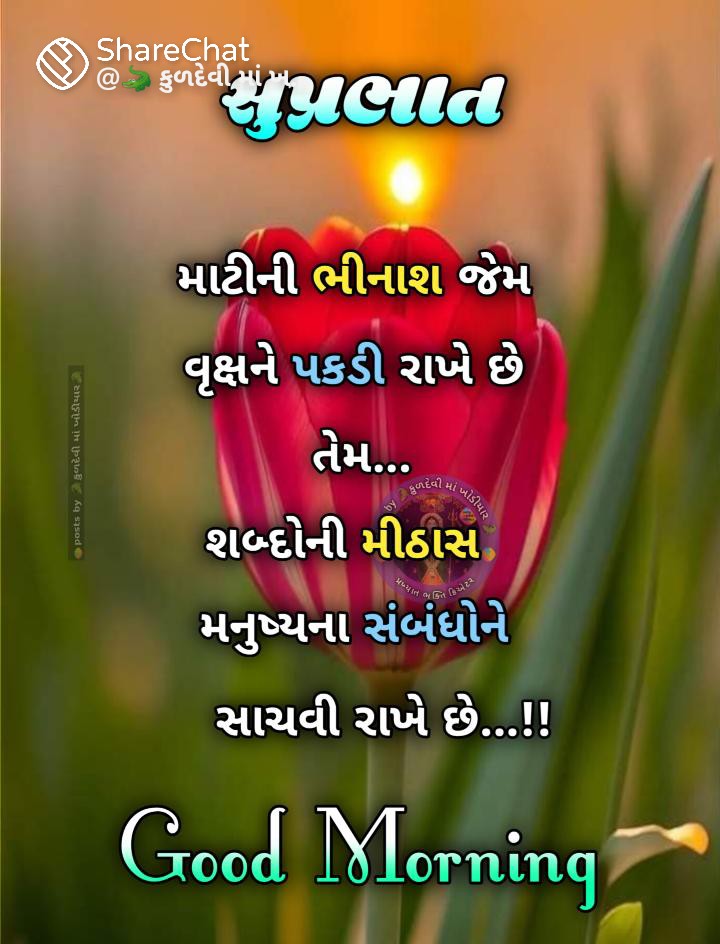 tkaran438's tweet photo. શુભ સવાર https://t.co/Tw649m0PUg