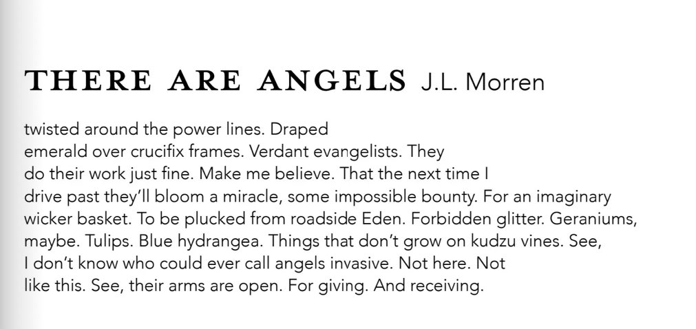 j.l. morren 🌷 tweet media