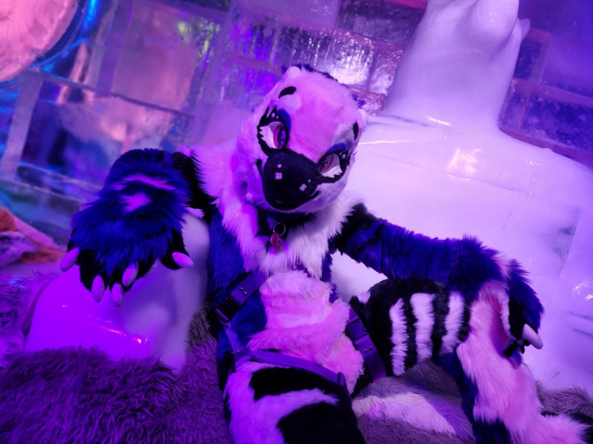 they took me to the ice bar??? 
📸 @FreezieBerry
🪡 <a href="/cult_makers/">Monster Cult Makers</a>
-
#furryfandom #fursuit #fursuiter #Megaplex2024
