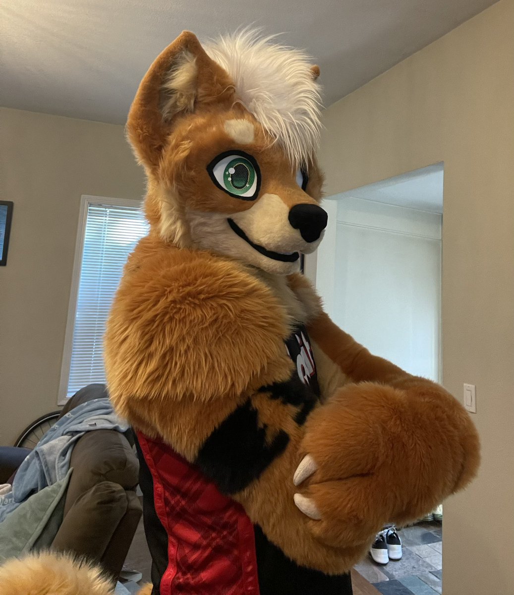 Sheeb 🔜 FWA tweet media