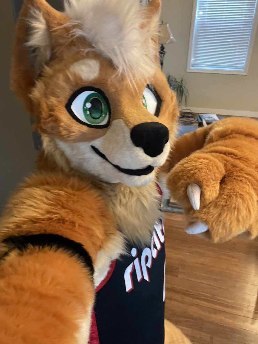 Sheeb 🔜 FWA tweet media