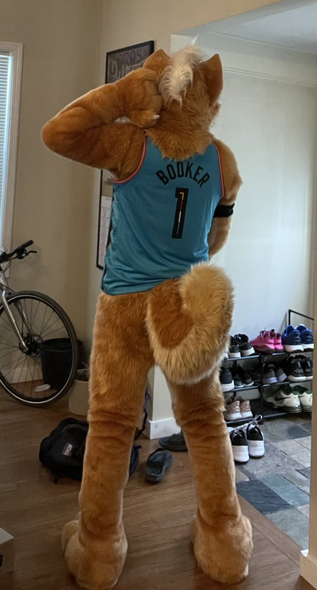 Sheeb 🔜 FWA tweet media