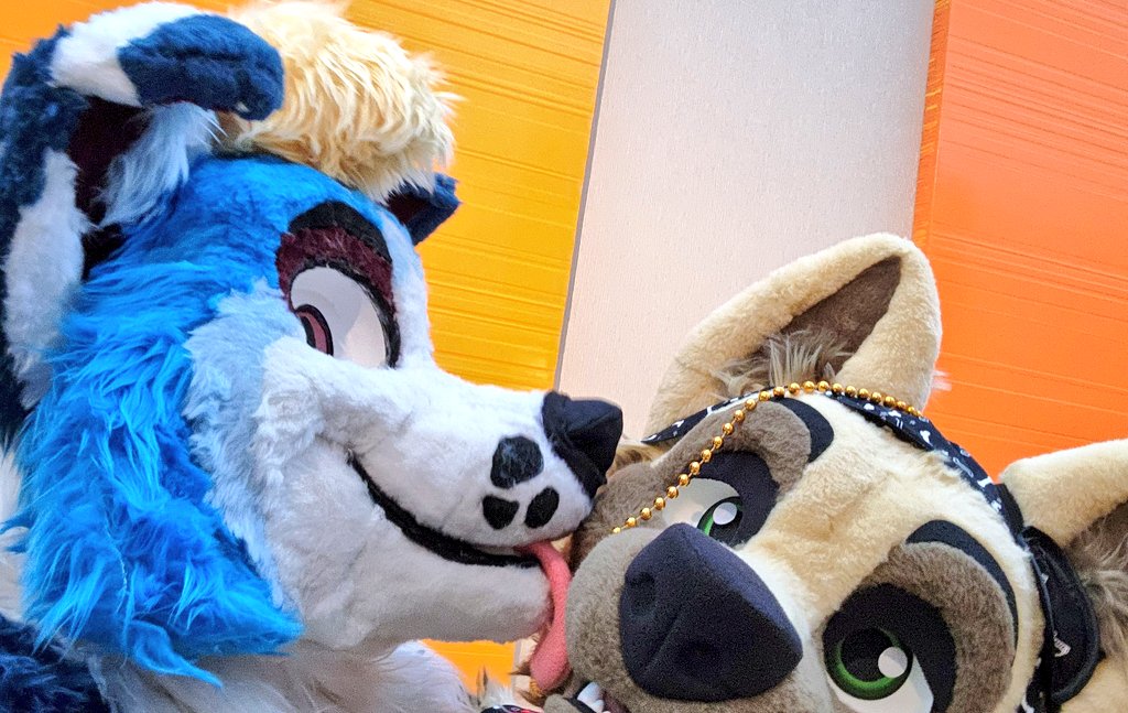 ZappFox's tweet photo. #Megaplex2024 has been a wild ride this weekend so far! Hard to believe it's already almost over though. 🥺💙💙💙 https://t.co/HJvJkG8Bt9