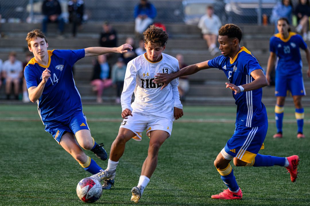 legern_'s tweet photo. @aiglesbleus 1 @DalTigers 1 soccer masculin samedi @AUS_SUA but de Pascal Sonier. https://t.co/SCXkxUXUwP