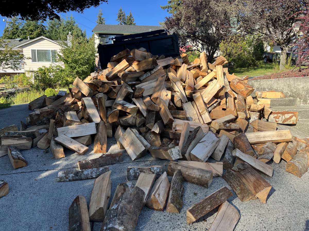 OddSquadProd's tweet photo. Thanks retired VPD Insp Ken Davies for the support of the firewood fundraiser - beautiful load of maple, alder and a bit of Hemlock - from another retired VPD member’s acreage in Mission - full circle! The kids will be out woodchopping in Mission on Monday! #thinkprevention https://t.co/qZdZCZDgme