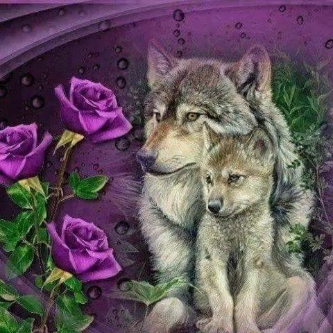 ( <a href="/jaygawa/">ᅠᅠᅠ 姿＊ᅠ꒦꒷͟ᅠ ..ᅠ ﹟𝑘𝘦𝙣̤𝘯𝘦𝘥𝘺ᅠ⁎⎖</a> )