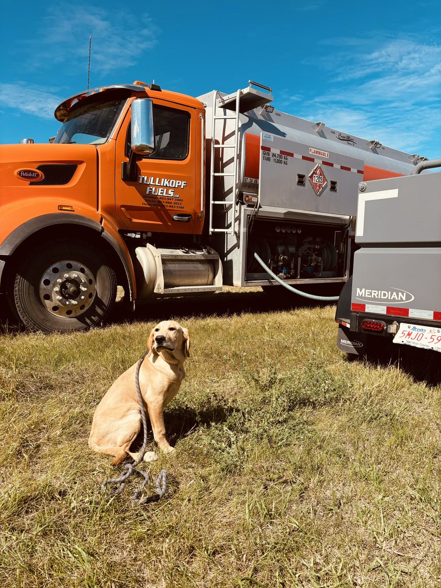 Tullikopf Fuels Ltd tweet media