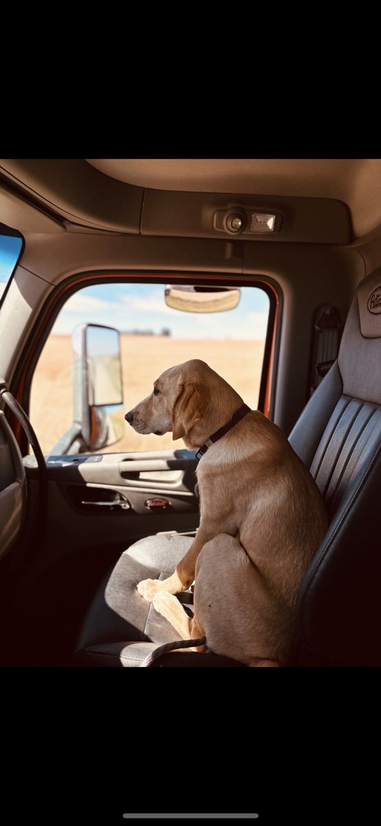 Tullikopf Fuels Ltd tweet media