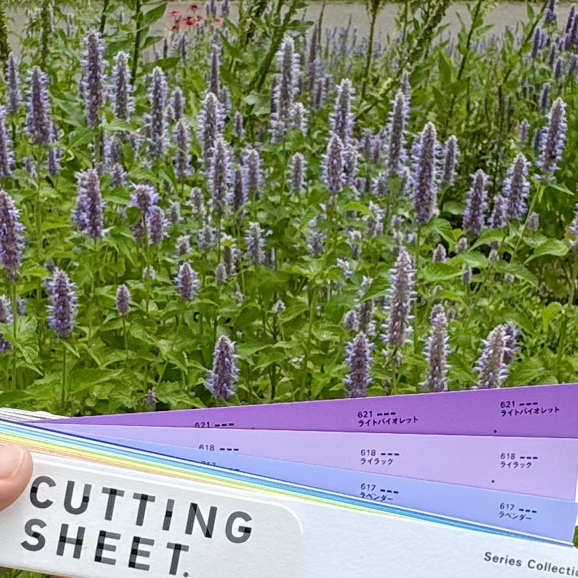 KiaiChemical's tweet photo. Agastache.

HOKKAIDO,
JAPAN

#アガスターシェ #agastache 
#summercolors 
#lovecuttingsheet #カッティングシート #色見本帳 #lovecolors #playwithcolors #色遊び #colors #色 #色彩 #colorhunting  #cuttingsheet #中川ケミカル #design #nakagawachemical #japan #sapporo #エモい https://t.co/EeKaCszimb