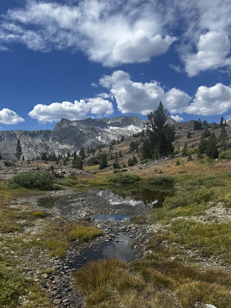 Liberty53000_'s tweet photo. Unbelievably beautiful hike. 8 miles above 10,000 feet. Lake after lake after lake. 😍 ⛰️🥾🚐 #nofilterneeded #steelyvan #ShamrockLake #LakeHelen #SteelheadLake #SaddlebagLake #LeeVining https://t.co/hG9TQWx88d