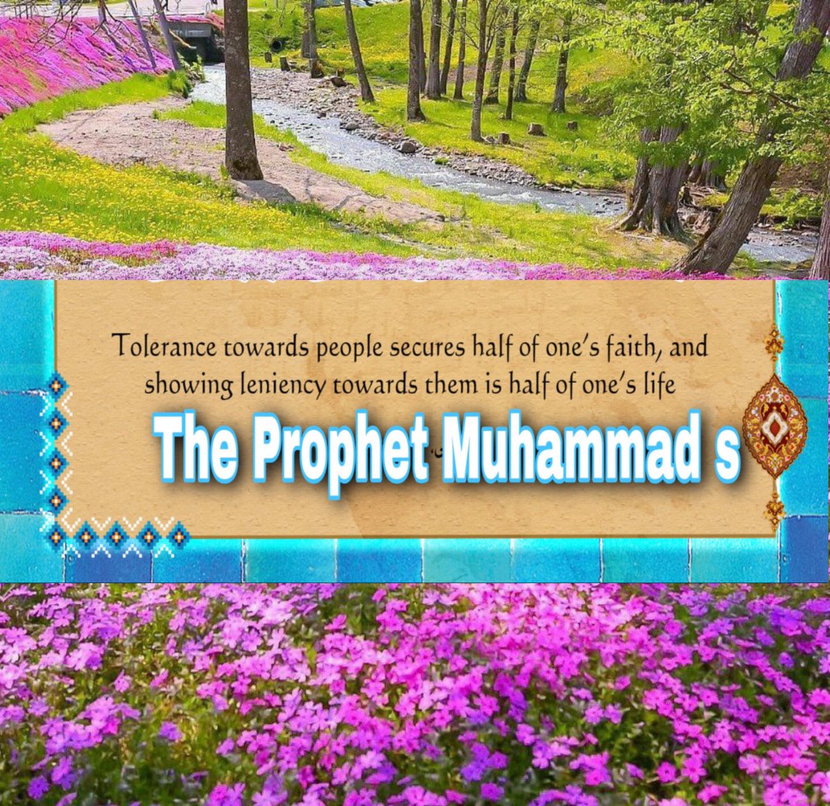 good_seeing's tweet image. #MohammadForAll