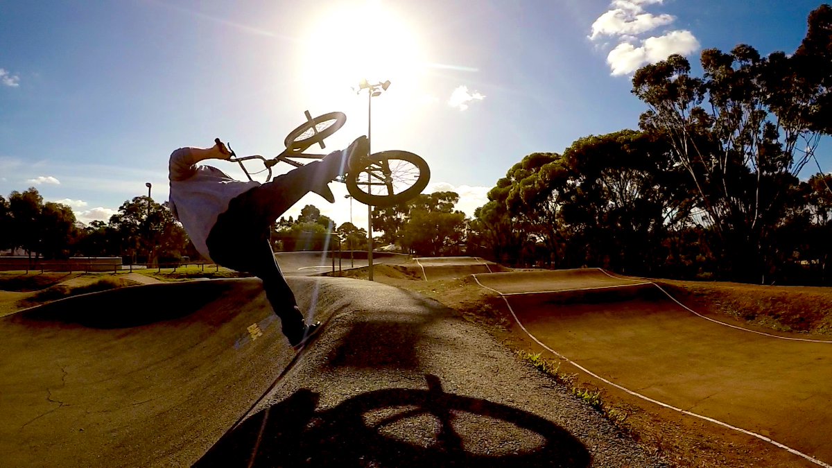 NeuRo Da MuZZ tweet media