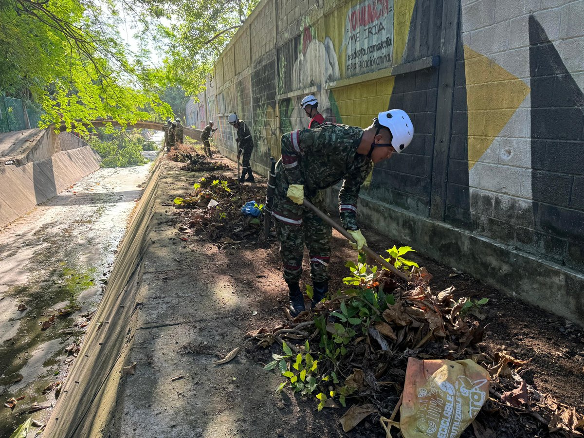 Ingenieros_EJC's tweet photo. Soldados de la Brigada de Atención y Prevención de Desastres, en articulacion con autoridades locales y la comunidad, recogieron 1.300 kilos de residuos sólidos y podaron árboles en la zona del arrollo La Ciudadela de Barranquilla, #Atlántico.

¡Somos #CustodiosDelMedioAmbiente! https://t.co/stdRFnSheg