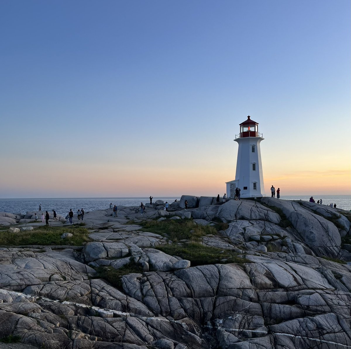 Gerard Murphy tweet media