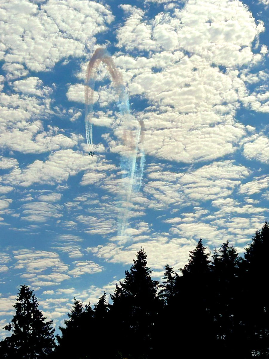 OllisCindy888's tweet image. 🇺🇸 Oregon Air Show 🇺🇸 
8/31/2024 
Oh and YES 
I’M VOTING FOR TRUMP!! 🇺🇸