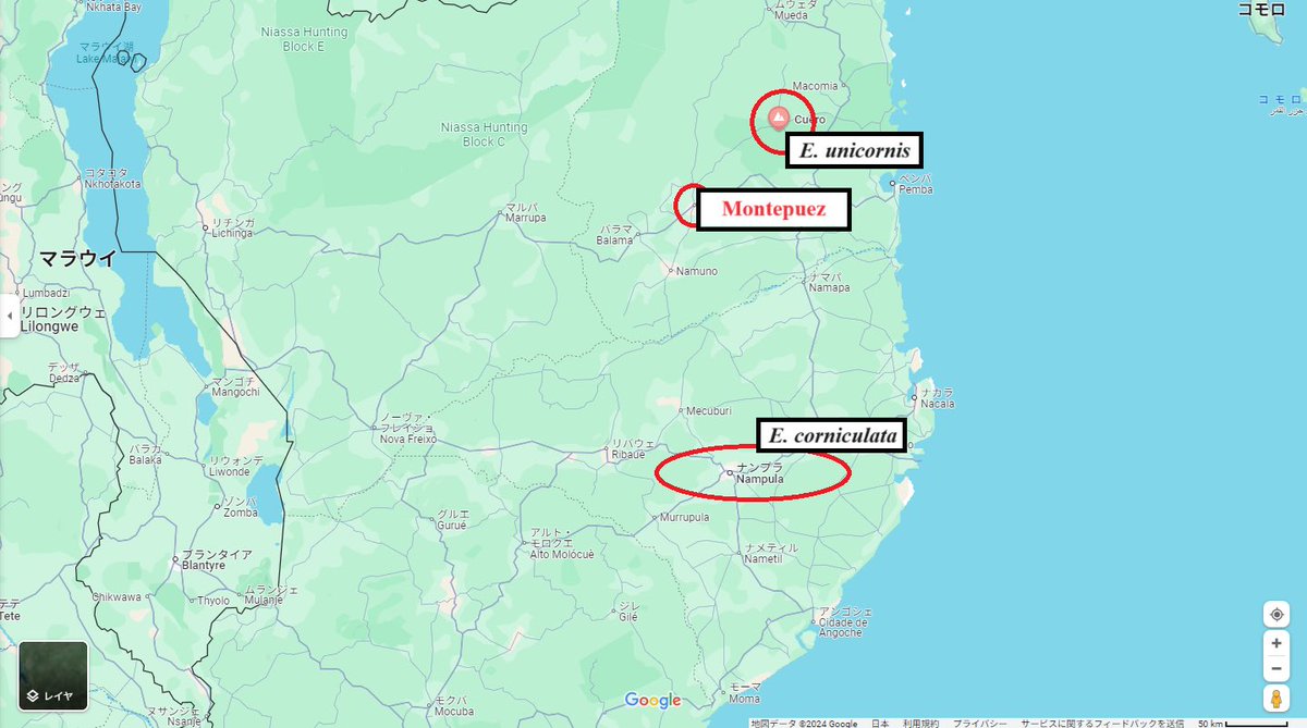 ぼびぃ tweet media