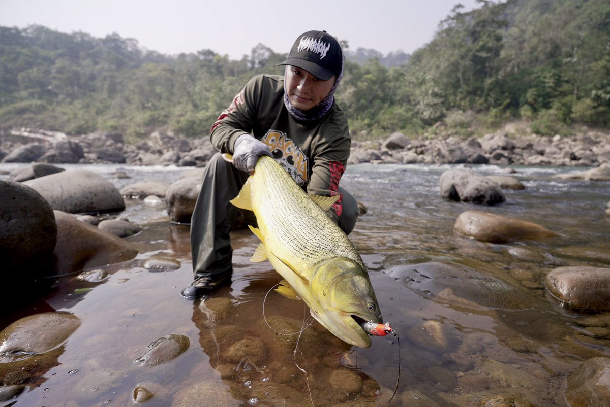 UMANOSUKE_ueda tweet media