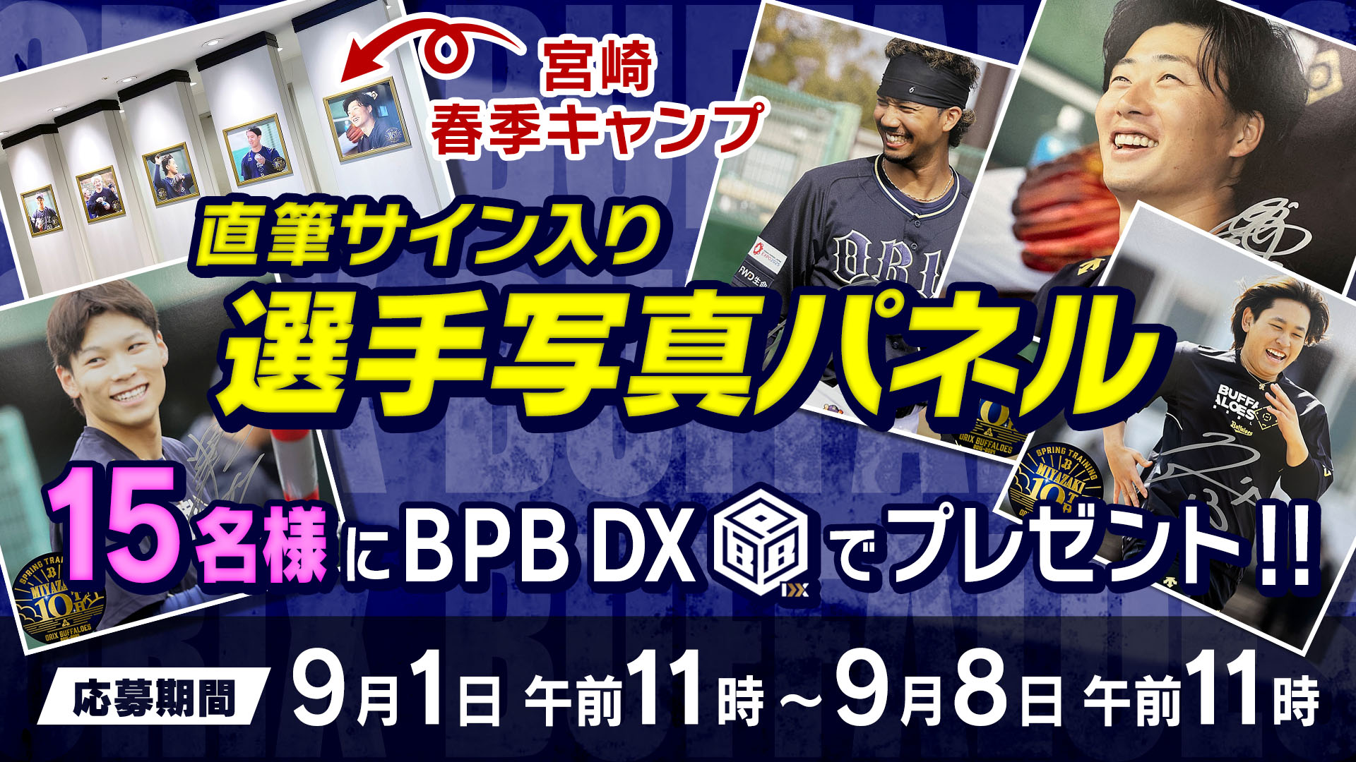 オリックスバファローズ 2024 サイン入り写真パネル