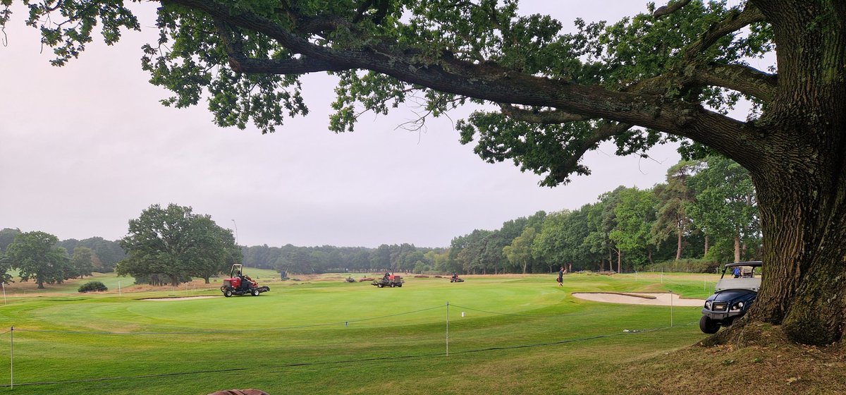 Martin Dempster tweet media