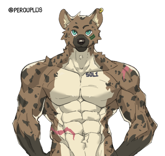 I think you guys need this version 🫢