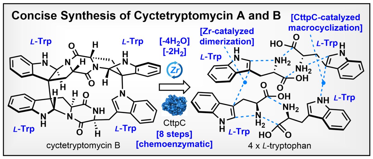 Nakamura Lab (@nakamuragroup) on Twitter photo "Concise Synthesis of Cyctetryptomycin A and B Enabled by Zr-catalyzed Dimerization" has appeared today in
<a href="/angew_chem/">Angewandte Chemie</a> : onlinelibrary.wiley.com/doi/10.1002/an…
Collaboration with Pei-Yuan Qian, <a href="/KenYamazaki5/">Ken Yamazaki</a>, <a href="/TrevorAHamlin/">Trevor A. Hamlin</a>, <a href="/MatsudaLab/">Matsuda Lab @ CityUHK</a> "Concise Synthesis of Cyctetryptomycin A and B Enabled by Zr-catalyzed Dimerization" has appeared today in
<a href="/angew_chem/">Angewandte Chemie</a> : onlinelibrary.wiley.com/doi/10.1002/an…
Collaboration with Pei-Yuan Qian, <a href="/KenYamazaki5/">Ken Yamazaki</a>, <a href="/TrevorAHamlin/">Trevor A. Hamlin</a>, <a href="/MatsudaLab/">Matsuda Lab @ CityUHK</a>