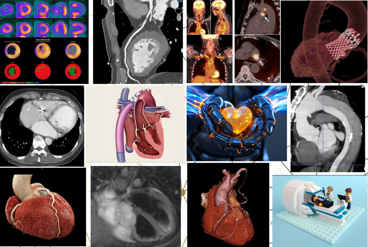 🚨📢 Listen up cardiovascular
imagers!! 👀🫶
The @BSClmaging online education team are proud to announce the launch of the BSCI Moodle platform: the largest collection of #cvi lectures in the UK - all given by experts in the field and free to all members.
Happy learning!