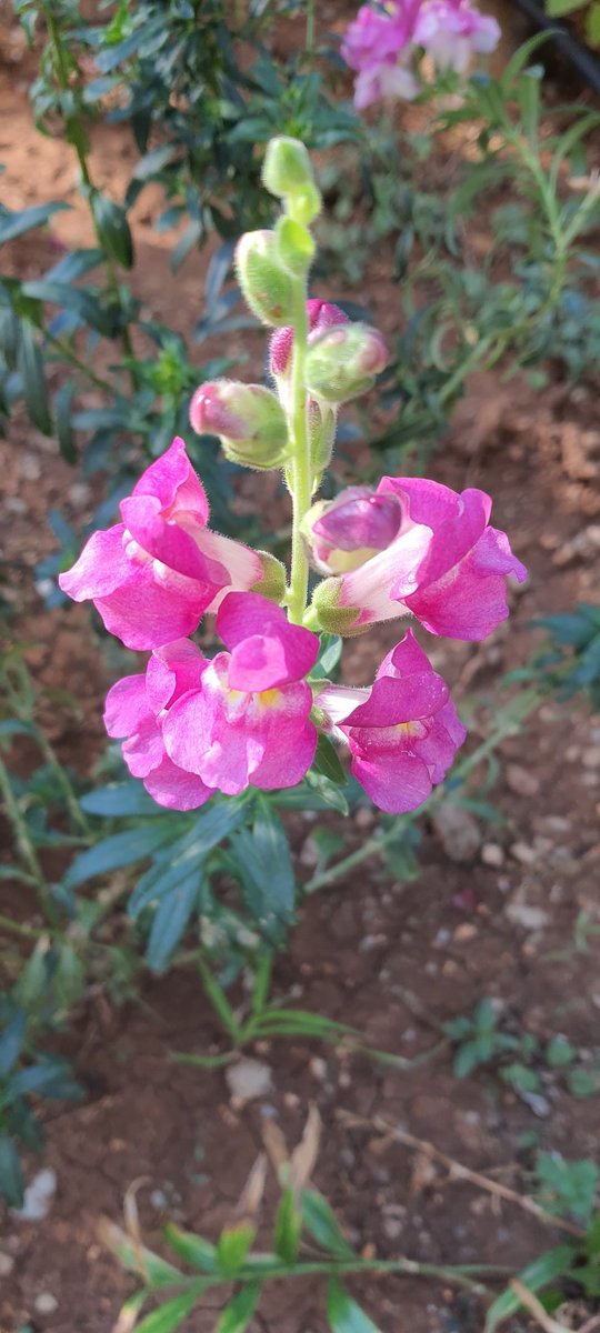 #8Yıl 2569. Gün 

“Sen yola çık, yol sana görünür” 
Mevlana
#SağlıklıYaşamYürüyüşü'müzün kesintisiz 2569. gününü #Adana #Pozantı #Yenikonacık mevkii'n de yürüdük.
#Yürüyüş #Sağlık
#Pazar