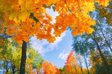 يوم جديد … وشهر جديد…
يا رب يكون خير وبركة وتوفيق وسلام علينا وعليكم وعلى الجميع إن شاءالله❤️🙏🏻🤗
#صباح_الخير #يسعدلي_هالصباح