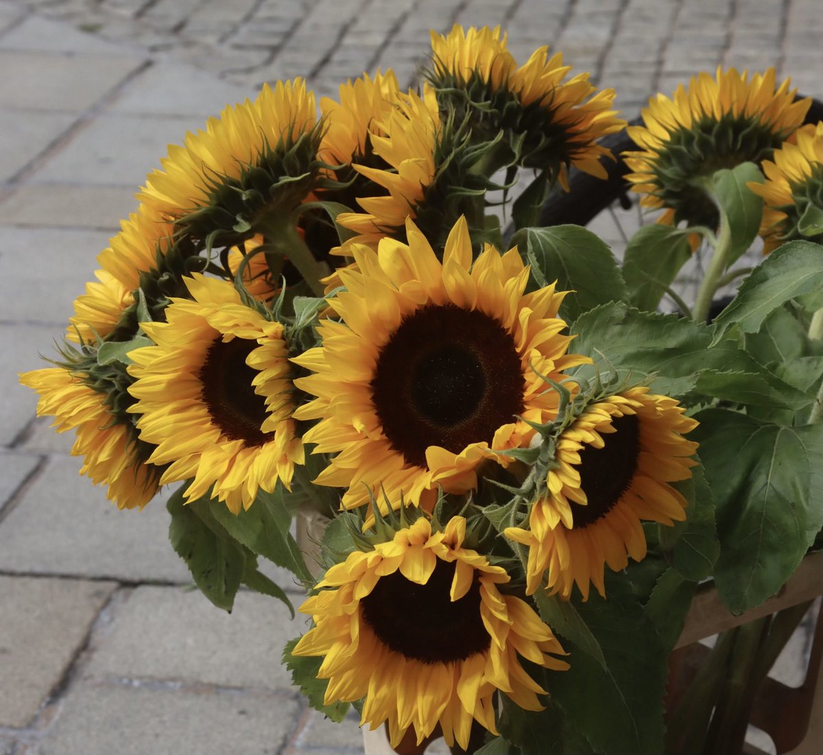 Heute am 1.9.2024 sind Landtagswahlen in Sachsen und Thüringen. Es geht um sehr viel. Geht zur Wahl und stärkt unsere Demokratie, Natur und Umwelt, wirtschaftliche Entwicklung, sozialen Zusammenhalt und Zuversicht mit eurer Stimme für GRÜN.💚🌻