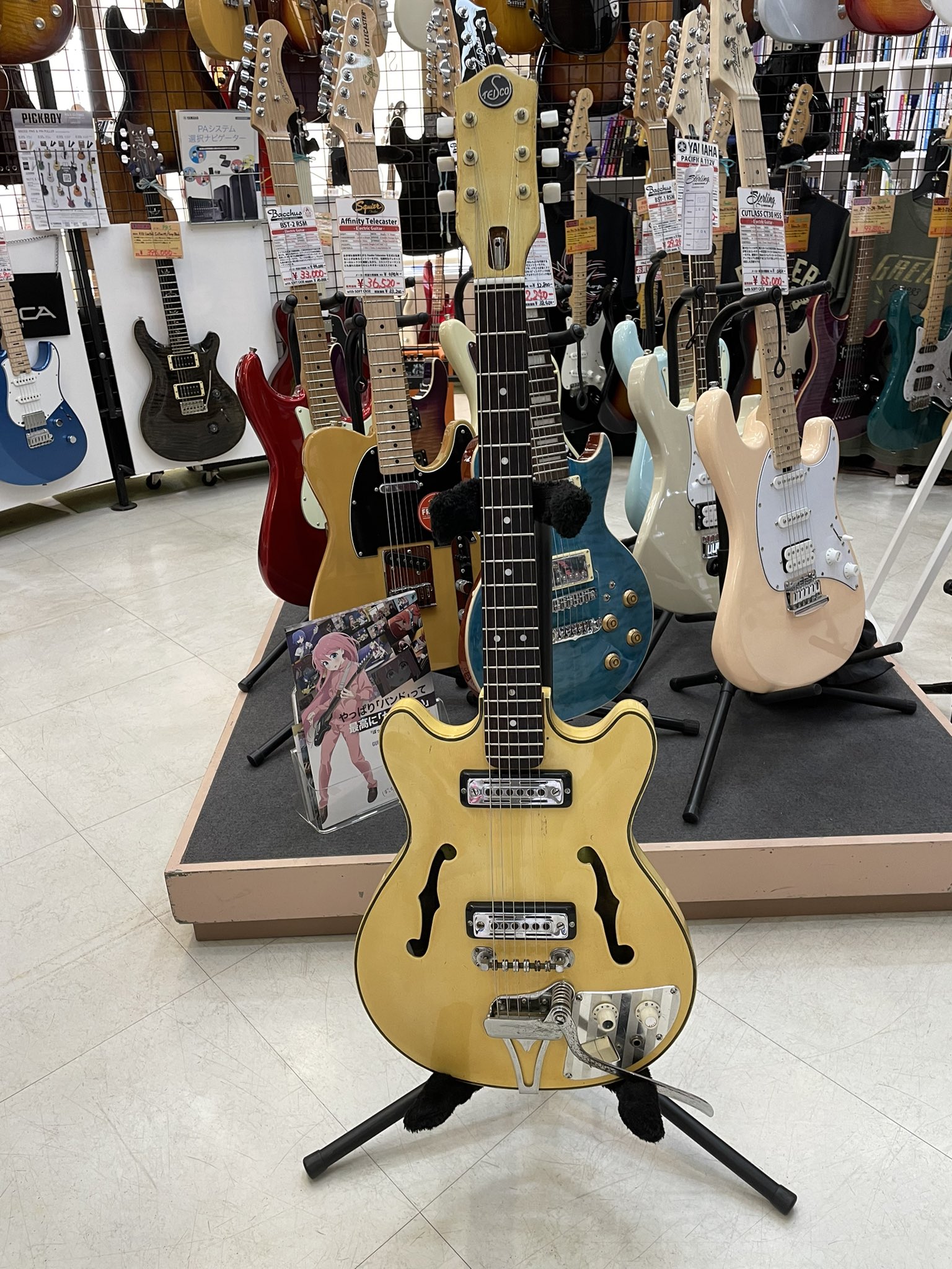 TEISCO EP-2L ギター ビンテージ⁇（60年代）⁇（タケダ楽器 on X