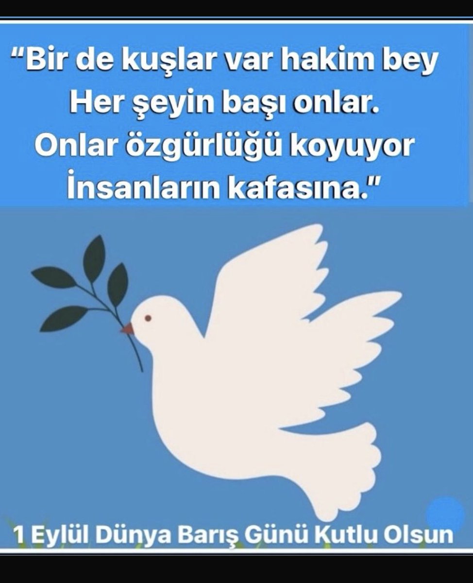 cafer doğan (@cdcaferdogan) on Twitter photo 