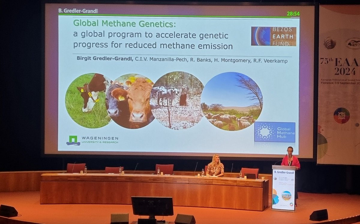 Marcin Pszczola (@marcinthebee) on Twitter photo Session #1 of #EAAP2024 <a href="/EAAPofficial/">EAAPofficial</a> started with <a href="/birgitgredler/">Birgit Gredler</a> invited talk on selectin for lower #methane emmitting livestock <a href="/Gmethanehub/">Global Methane Hub</a> <a href="/ReLivestock/">HEurope Re-Livestock</a> Session #1 of #EAAP2024 <a href="/EAAPofficial/">EAAPofficial</a> started with <a href="/birgitgredler/">Birgit Gredler</a> invited talk on selectin for lower #methane emmitting livestock <a href="/Gmethanehub/">Global Methane Hub</a> <a href="/ReLivestock/">HEurope Re-Livestock</a>