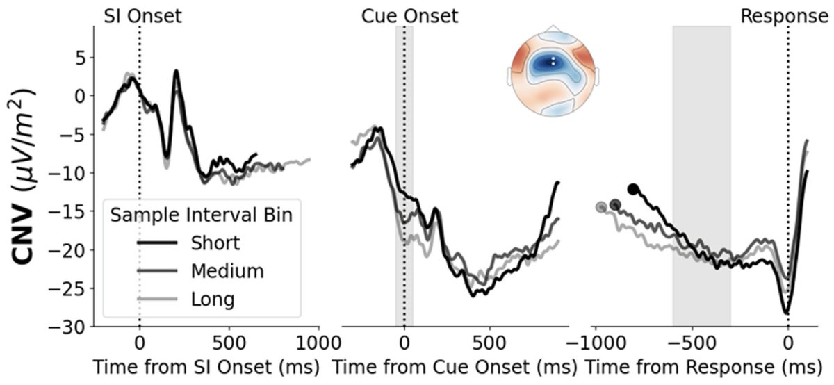New paper in Imaging Neuroscience by Harvey McCone, John. S. Butler, and Redmond. G. O’Connell:

Signatures of time interval reproduction in the human electroencephalogram (EEG)

doi.org/10.1162/imag_a…
