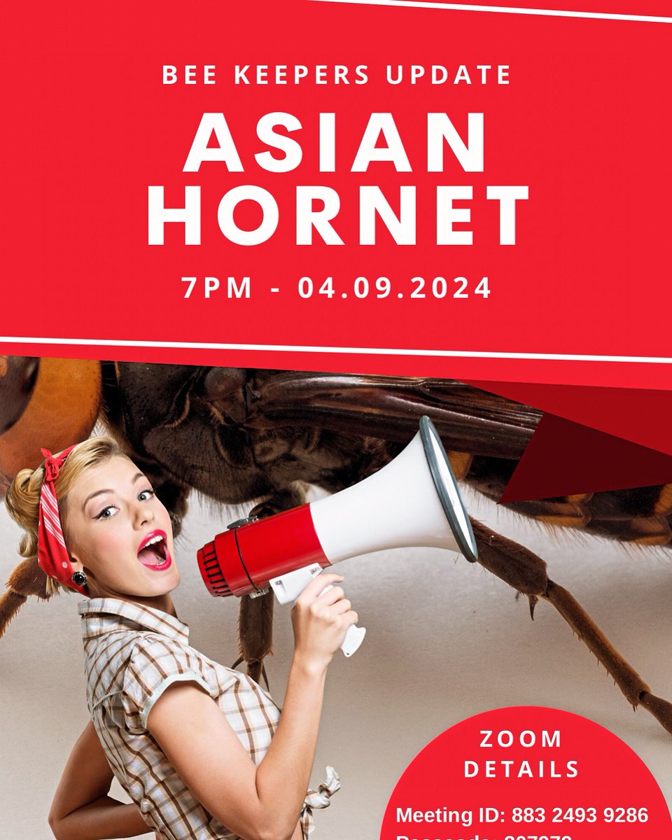 mid_bee's tweet image. 